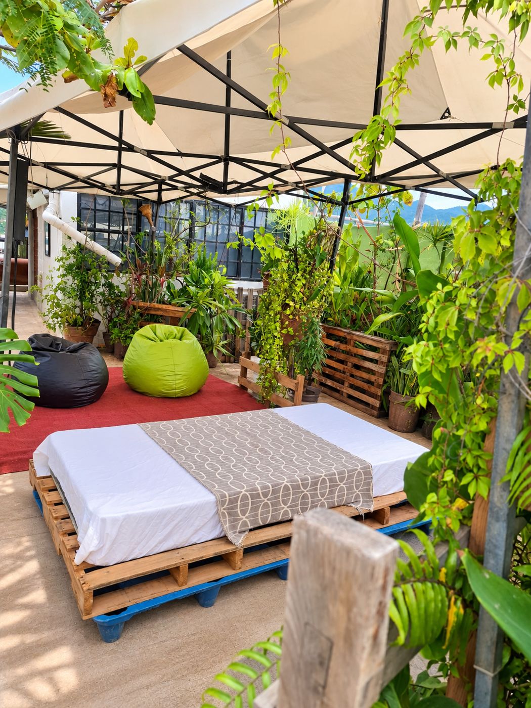 Área de lectura y descanso rodeada de plantas