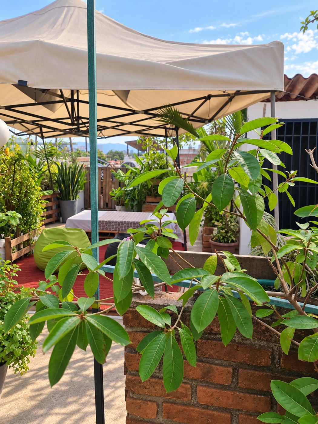 Jardín en terraza bajo techo